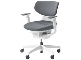 RN CO NbVwD IL VLX^[ CRGW3211E1G4E3V