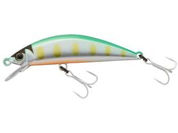 �W���b�J�� TM �g���R���[�� 47HW #��t�����}��BH