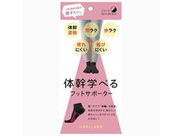 At@bNX ns{̊wׂtbgT|[^[ ubN 441816