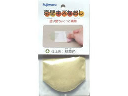 �t�W�������w ���ǃL�Y�Ȃ��� �͑�