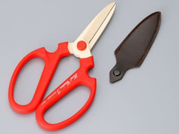 ⌹ nhNG[VF195 BP #357