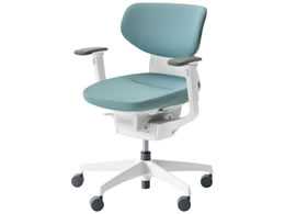 RN CO NbVw^[RCY IL V CRGW3211E1G439V