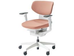 RN CO NbVw IL VLX^[ CRGW3211E1G49GV