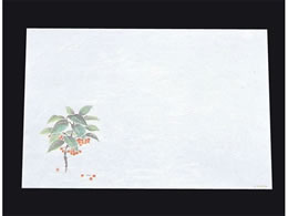 �A�[�e�b�N �ڎO ���΂܂��� �R�ۉ��Ԙa��100�� ����