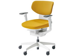 RN CO NbVw IL VLX^[ CRGW3211E1G41SV