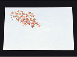 �A�[�e�b�N �ڎO ���΂܂��� �R�ۉ��Ԙa��100�� ���݂�