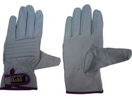 �z�[�P��/�i�b�N���K�[�h