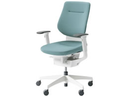 RN CO NbVw^[RCY IL W CRGW3213E1G439W