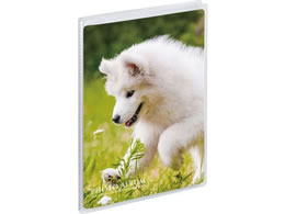 ZLZC ~j|P tHgAo  KGTCY(nKLTCY) ^e