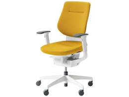 RN CO NbVw IL WLX^[ CRGW3213E1G41SW