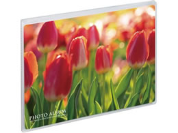 ZLZC ~j|P tHgAo  2LTCY R 20