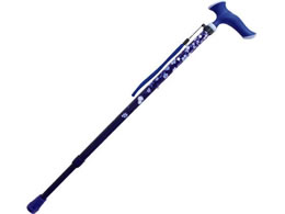 tWz[ XebL 邪t@ lCr[