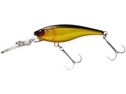 WbJ JK \EVbh62DDR-SP #HLLN