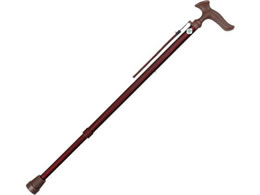 tWz[ XebL 邪I ؖڃ~fBA