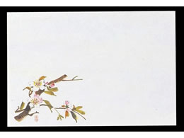 �}�C�� �l�G�� ��� 100���� M30-205 �� 6068300