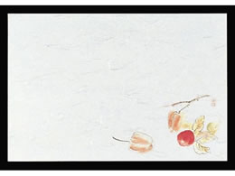 �}�C�� �l�G�� ��� 100���� M30-210 �ق����� 6068800