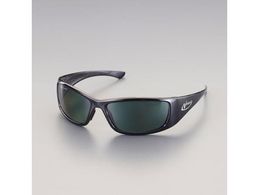 GXR ی߂ (X[NEΌY) EA800AR-122