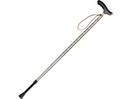 Vim lINVJ Lk ACr[x[W