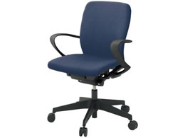 �C�g�[�L �t���S�`�F�A ���[�o�b�N �Œ�I �i�C�����L���X�^�[ BK NB