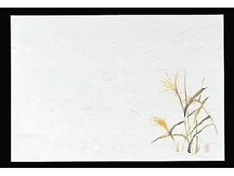 �}�C�� �l�G�� ��� 100���� M30-214 ������ 6069200