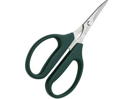 �k�� �X�e�� �E�j�؂͂���(����) 2916500