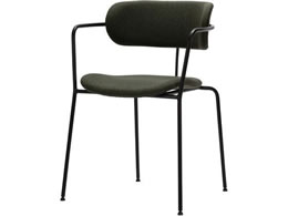 �A�X�v�����h �z�A�J�`�F�A �A�C�r�[�O���[�� 501772