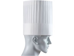 ADVANCE pXnbg 10 PH-251NT ^ 25cm 8672810