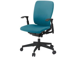 �C�g�[�L �t���S�`�F�A �n�C�o�b�N ���I �i�C�����L���X�^�[ BK SBL