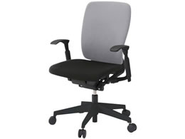 �C�g�[�L �t���S�`�F�A �n�C�o�b�N ���I �E���^���L���X�^�[ BK LGY�~BK