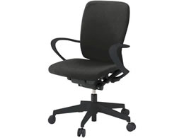 �C�g�[�L �t���S�`�F�A �n�C�o�b�N �Œ�I �i�C�����L���X�^�[ BK BK