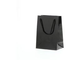 wCR[ 񂰎 uCgobO T-4  10 006143201