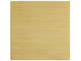  yʒu  820~820~25mm CG[