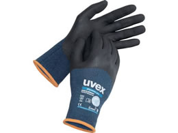 UVEX tBm~bN v L 6006269