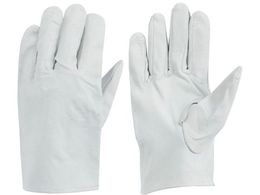 �g������ �ؕ\�v��� �؃N���X�gC (10�o��) 482-C