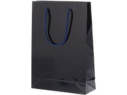 wCR[ 񂰎 uCgobO SWT  10 006138223