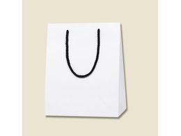 wCR[ 񂰎 uCgobO 22-12  MT 10