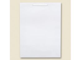 wCR[ 񂰎 uCgobO KA  10 006137801