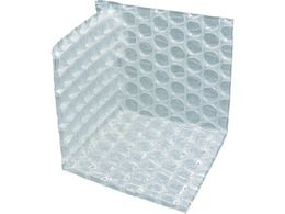  R[i[pbg  (100) 10607