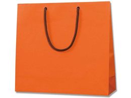 wCR[ 񂰎 uCgobO GM DIW MT 10