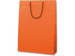 wCR[ 񂰎 uCgobO G2 DIW MT 10