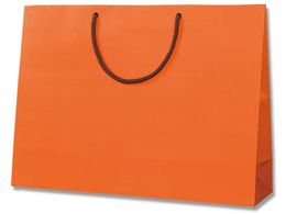 wCR[ 񂰎 uCgobO Y2 DIW MT 10