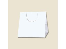 wCR[ 񂰎 uCgobO C0  10 006459400