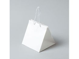 wCR[ 񂰎 AWobO S n 10 006441102