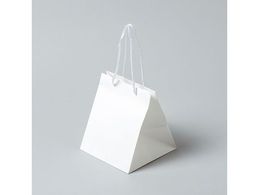 wCR[ 񂰎 AWobO SS n 10