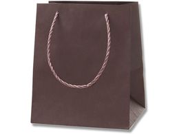 wCR[ 񂰎 J[AWobO SS Œ 10