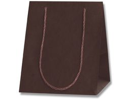 wCR[ 񂰎 J[AWobO 3S Œ 10