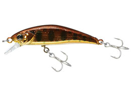 WbJ TM gR[c43HW #HLRbp[}