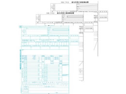 OBC 򒥎[3P 100Zbg 6009-A25