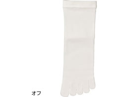 PAt@bV ߂5{w\bNX(wl) It 22`24cm