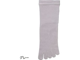 PAt@bV ߂5{w\bNX(wl) O[ 22`24cm